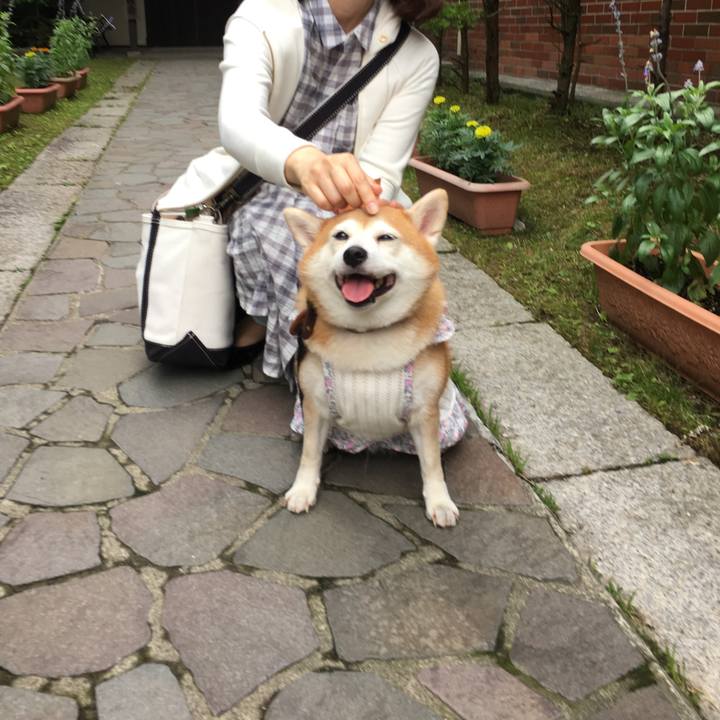 7b258fc5 62a9 42d1 94a4 d8e3ded24c96