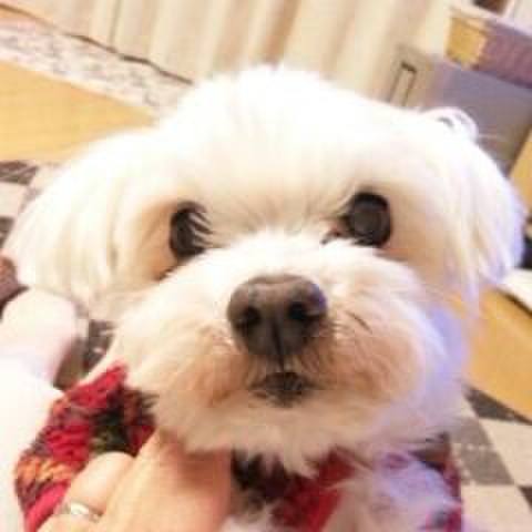 7b263607 3779 4749 95b0 a99cd2bab661