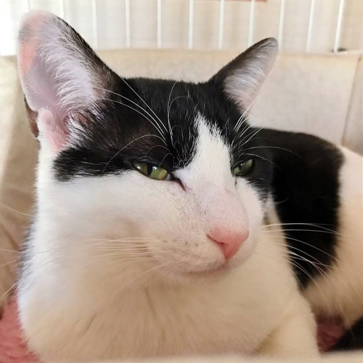 7b26440d 8914 49c7 8649 628ad08184b6