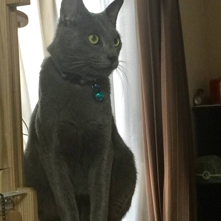 7b264dd8 29f2 4e9b 8fcf 8ecd33f6872d