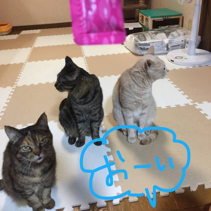 7b26a8a3 493f 4055 b135 644ab1ed87e6