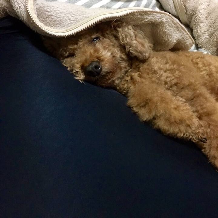 7b275c7c 0385 4741 8d95 91087396f2aa