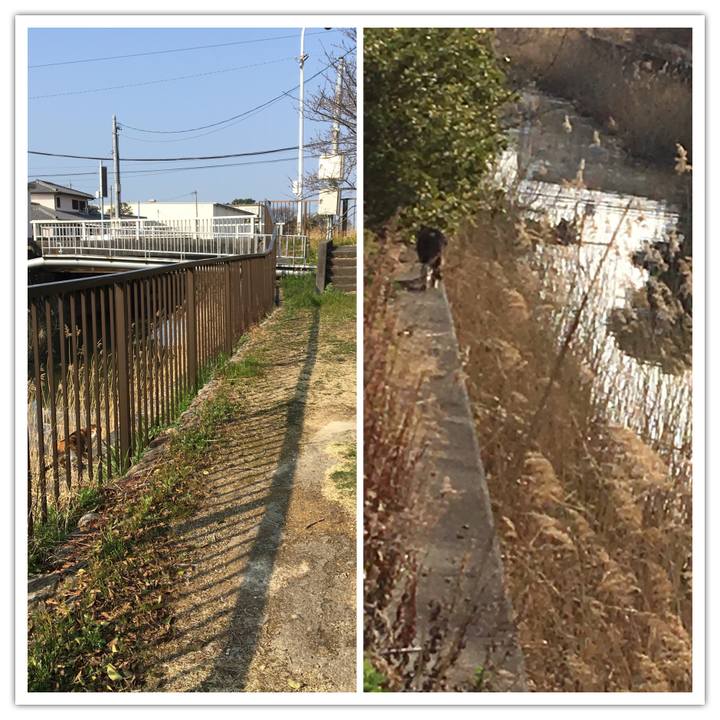 7b276644 8360 47a7 af25 8daaf07351f9