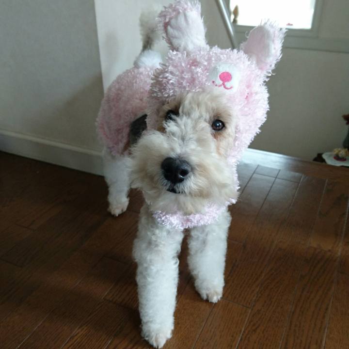 7b281118 a9fc 4cd4 99ac 6cc7d584a164