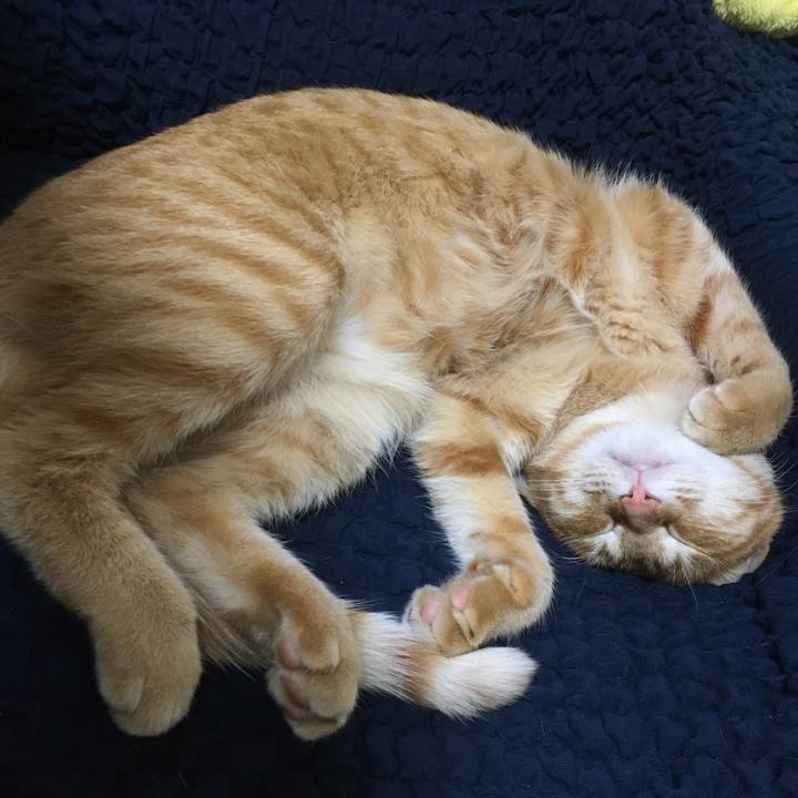 7b2873b4 0533 495f b58c b8e522d6e36d