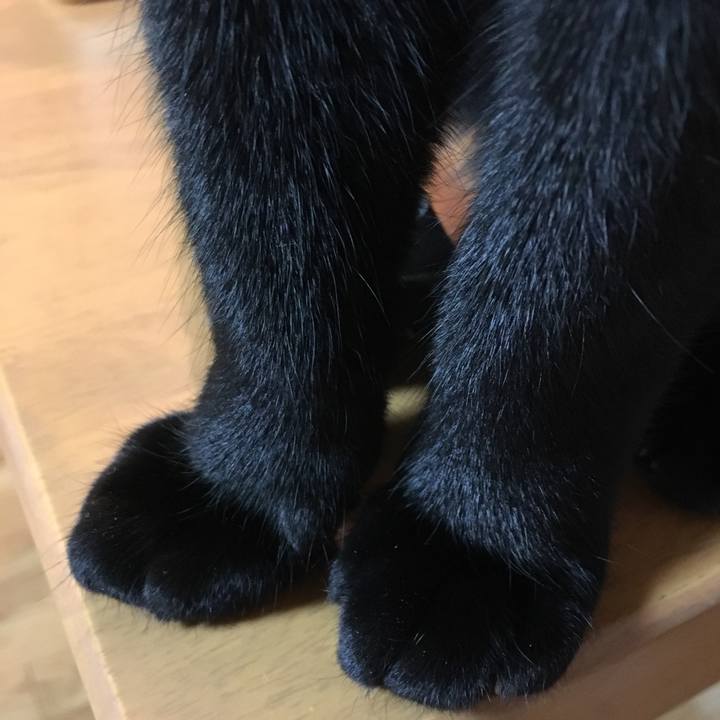 7b287e59 0ab0 4025 b725 bbd837cf34fd