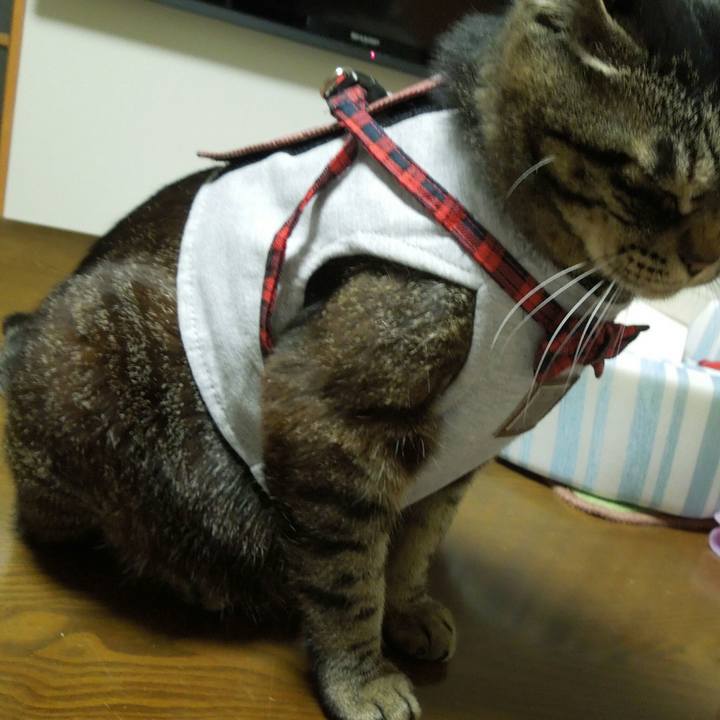 7b288819 ae0a 4563 bfa2 db67bc7df266