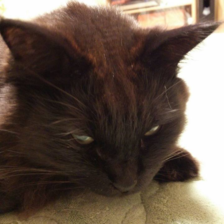 7b28ede5 8399 4c03 a79a 296ad5f77b77