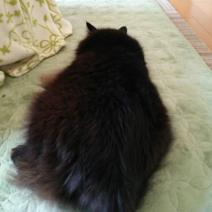 7b28f3f9 2ae9 413a 9f99 17db61c36e5d