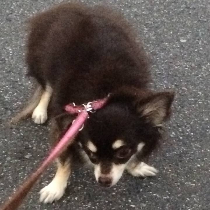 7b2944de 0ff4 4a40 83a1 1772aa8957f4