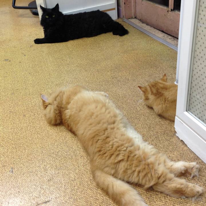 7b2972e7 178e 464b bdcf 8717f64d0488