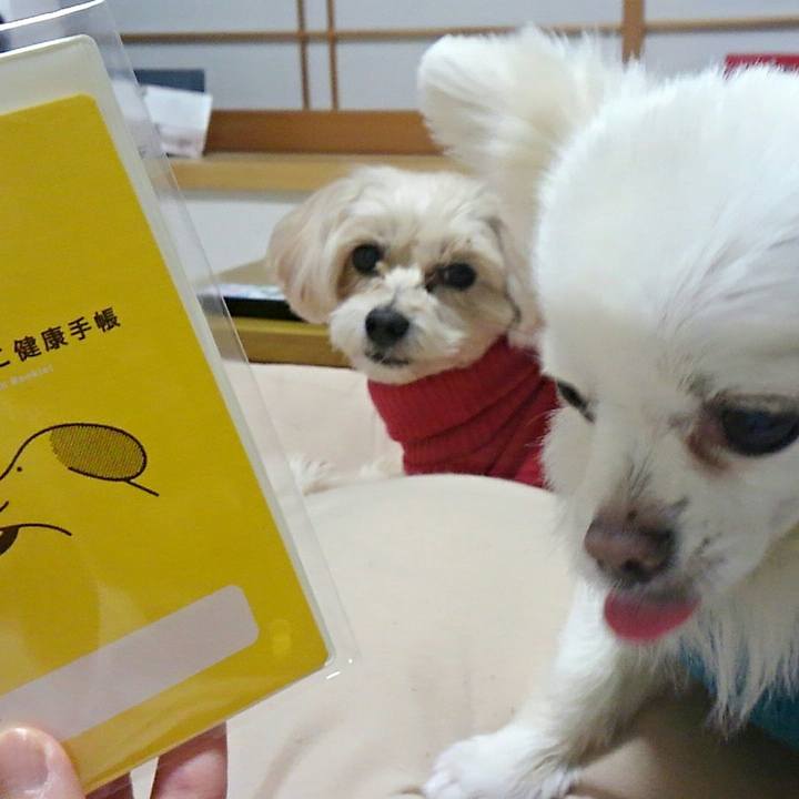 7b298698 d7d7 418d b1e7 7f45b16db4f0