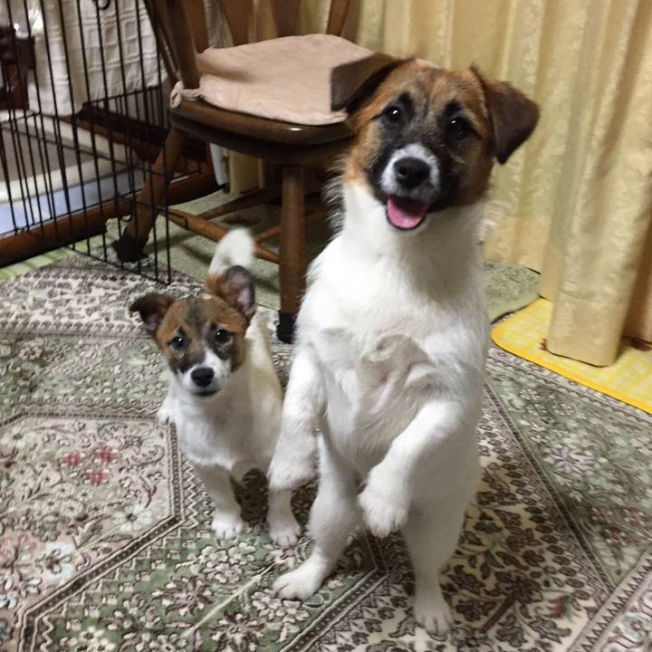 7b29d70d 134b 4b43 bf93 c54c2fc30ea6