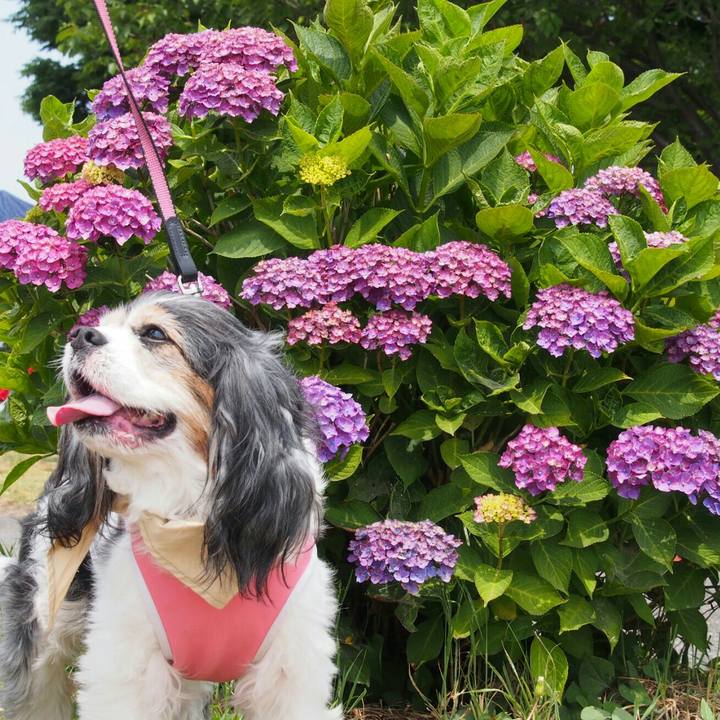 7b2a401d ded9 4b5d 8c79 8f9cea458ab7