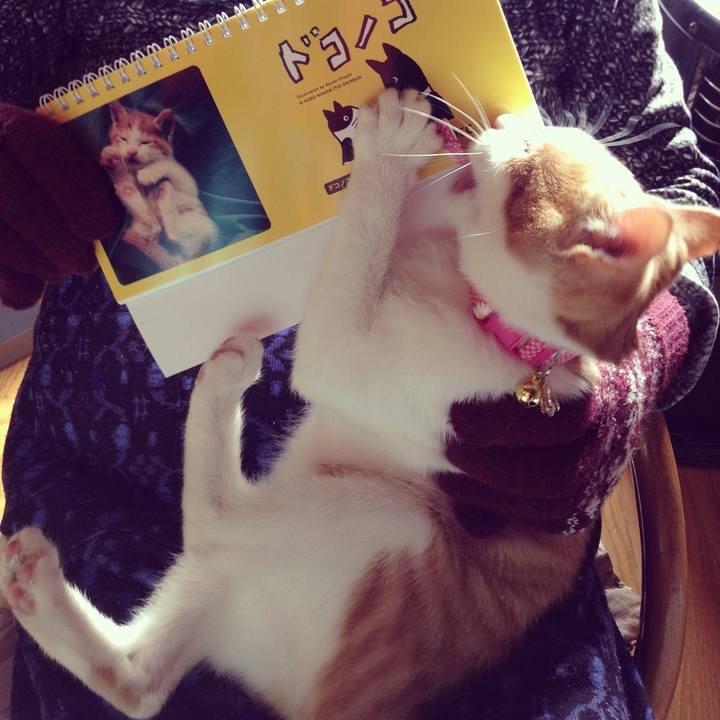 7b2ae97f 8a72 485c 8606 0b03a1f82443