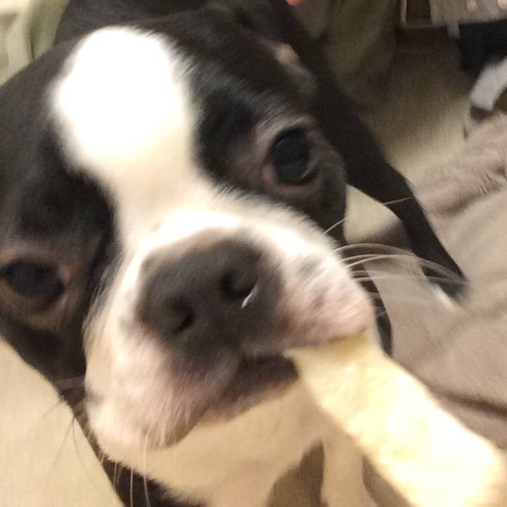 7b2b489b d236 4c48 9014 74c9e2650e9c