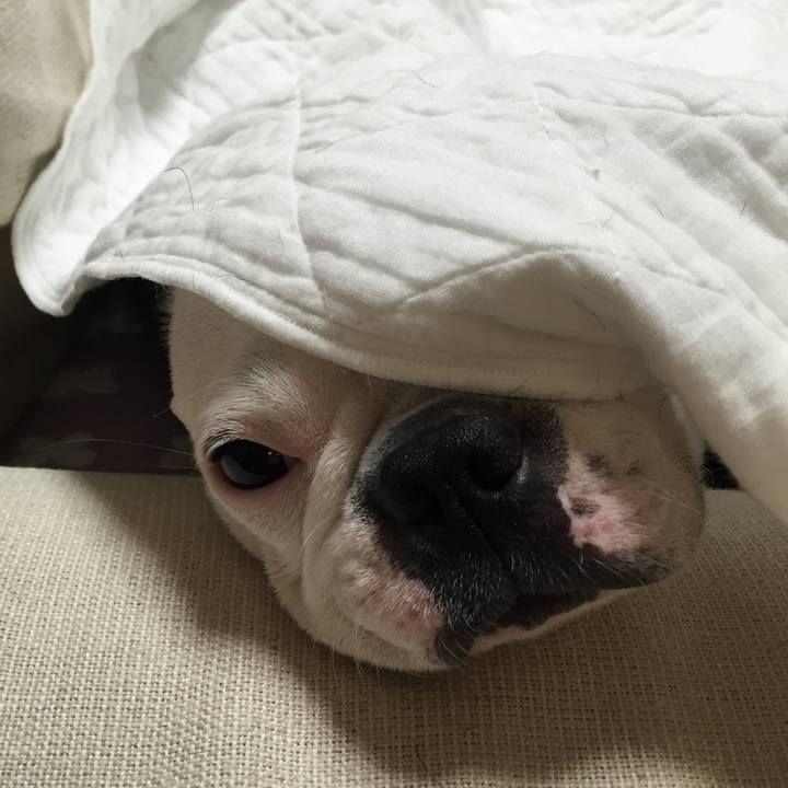 7b2b49f9 c529 4a1a 99be 95be58232041