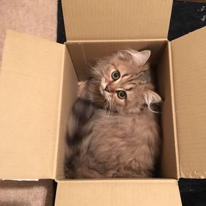 7b2ba8d6 5e63 4e58 b3b6 689bac21c5be