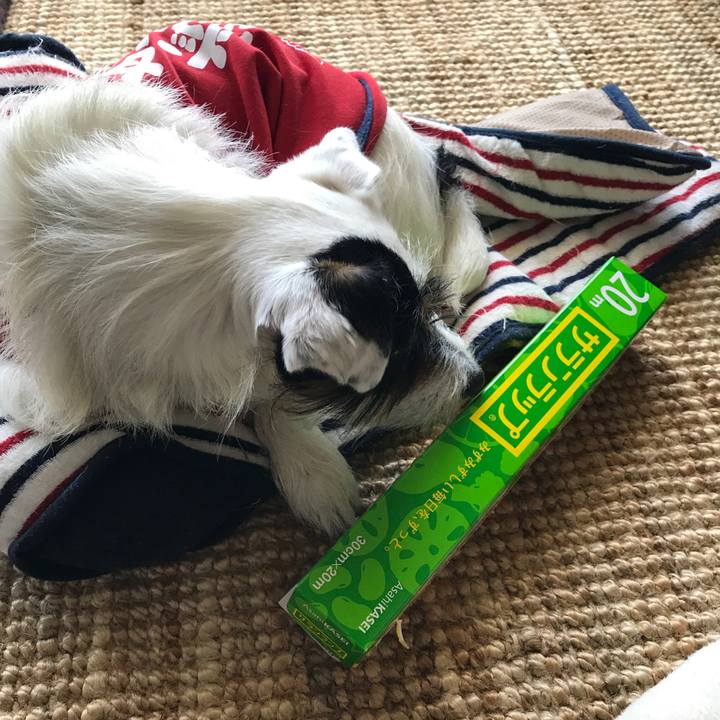 7b2badc1 ff7b 486b 9085 7cd9cc2b6a9d