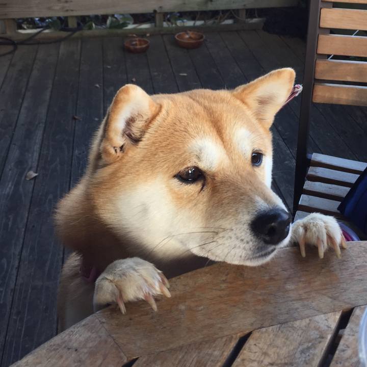 7b2bc9f5 8f86 4c0d b0c4 a7b5c48e5909