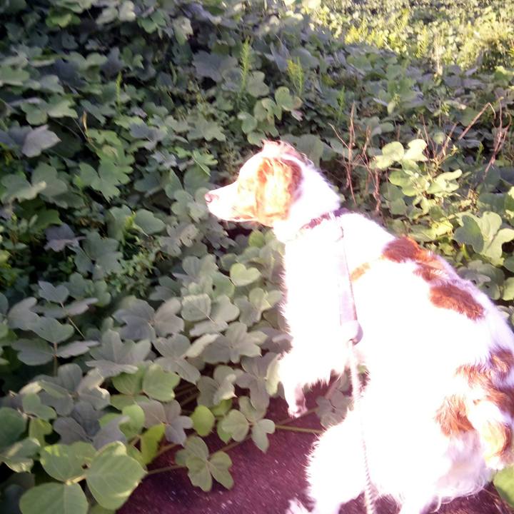 7b2c0518 01dd 40d2 a0f9 c4167cde3d24