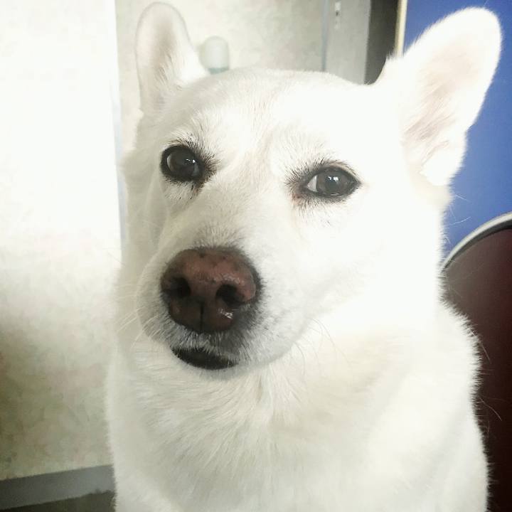 7b2d73c5 1795 4fe5 baa5 7f966431b1e5