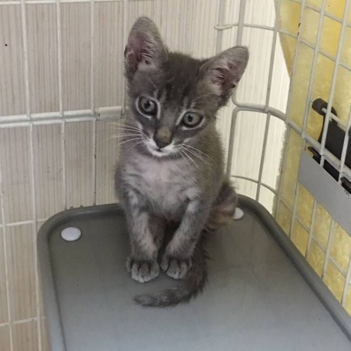 7b2e0b0f 6068 4cd1 94b2 5471dcc96dcb