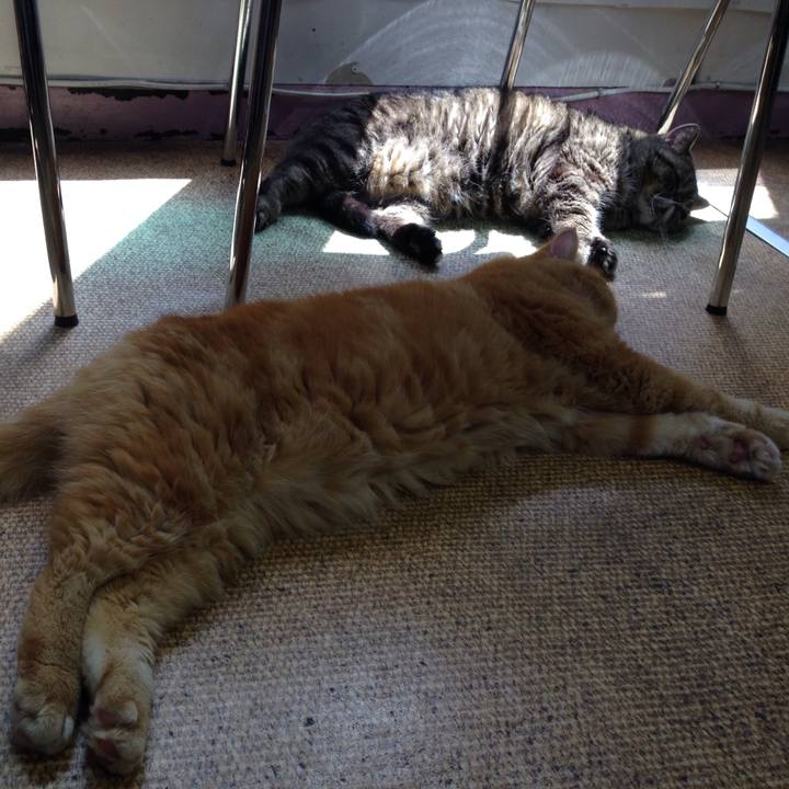 7b2e1bcd 4d22 4506 af1a 7bc7e5bb98f4