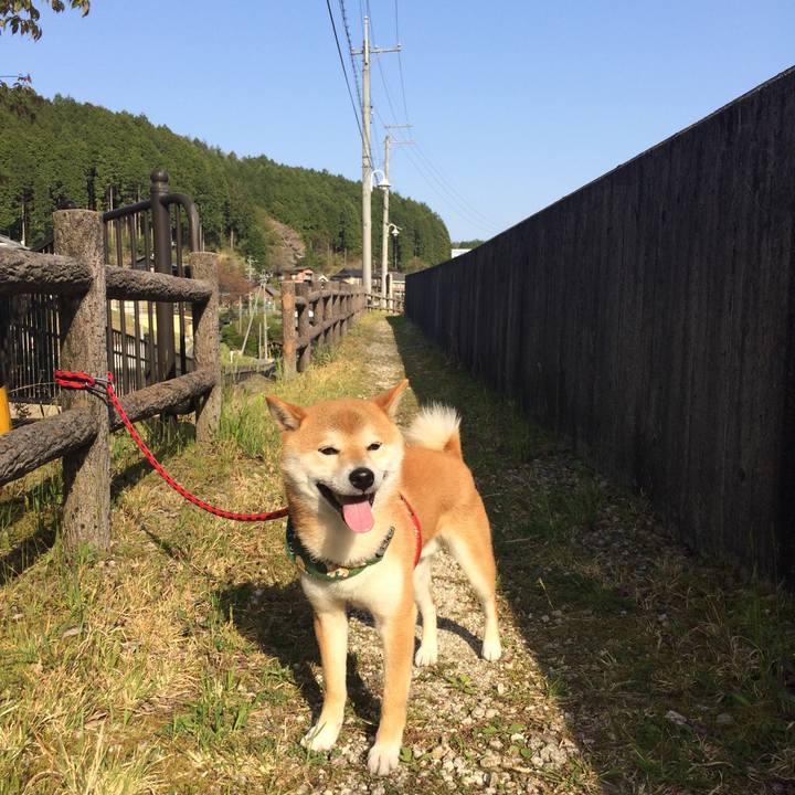 7b2e4ca9 2af2 4fbf b0ed 17fc1fa4a340