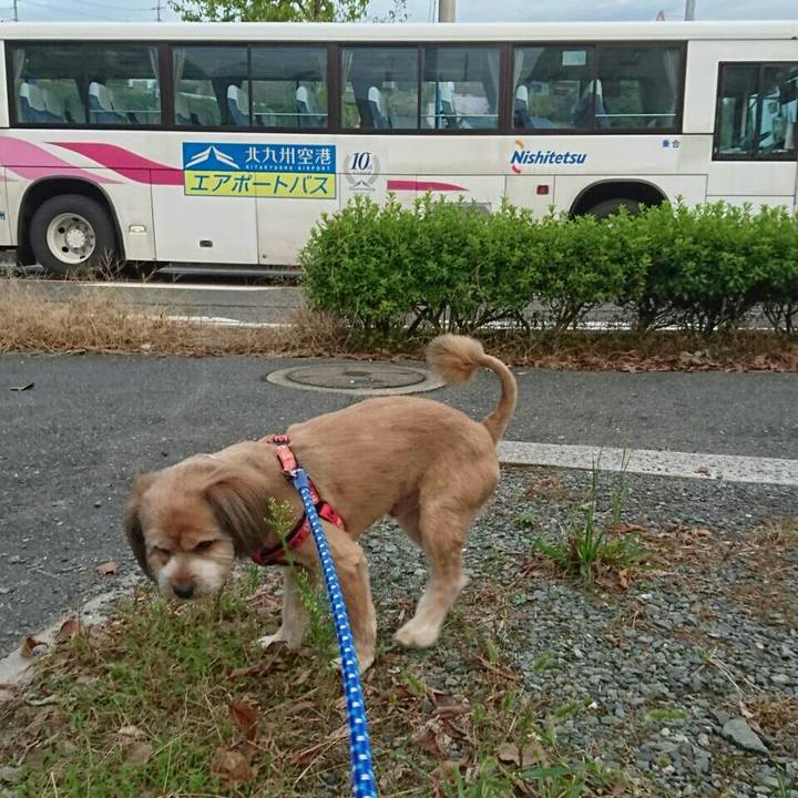 7b2eba2a a608 4ccf b8a3 32c93360e7a7