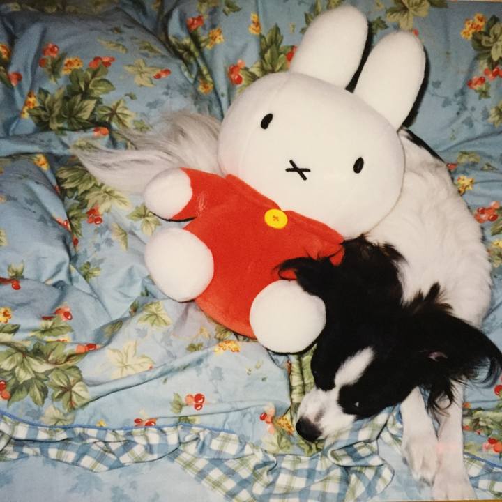 7b2f642c afe0 484b 8e01 d8c776144776