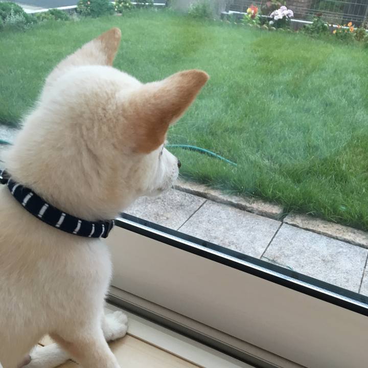 7b2fc375 f08d 42c4 8795 c93a742b2872