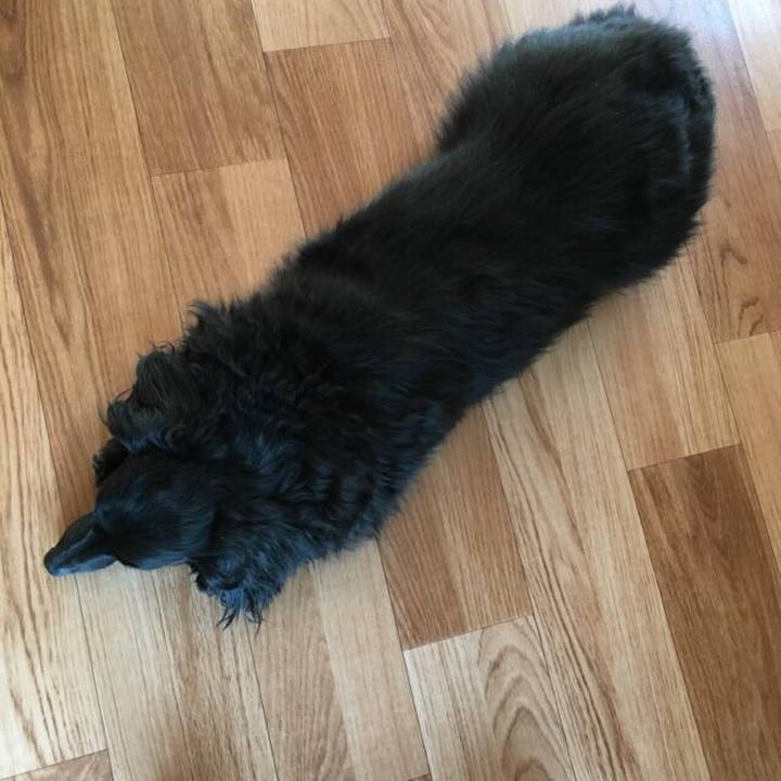 7b306caf bc46 4455 bd22 48438eaace20