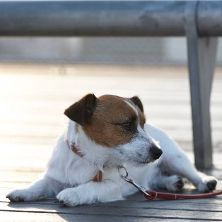 7b317240 f15c 4e02 911a 199de037966f