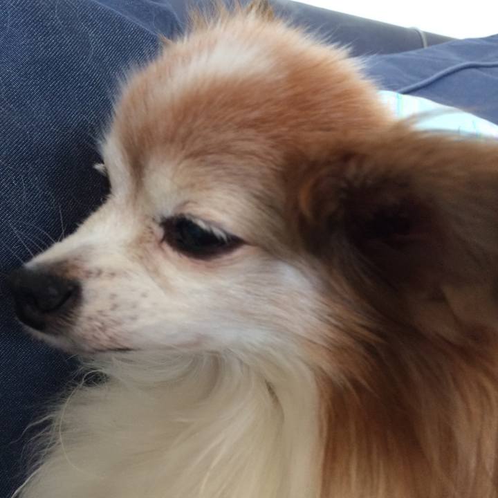 7b326d03 40f2 4ed2 a934 7508840458e8