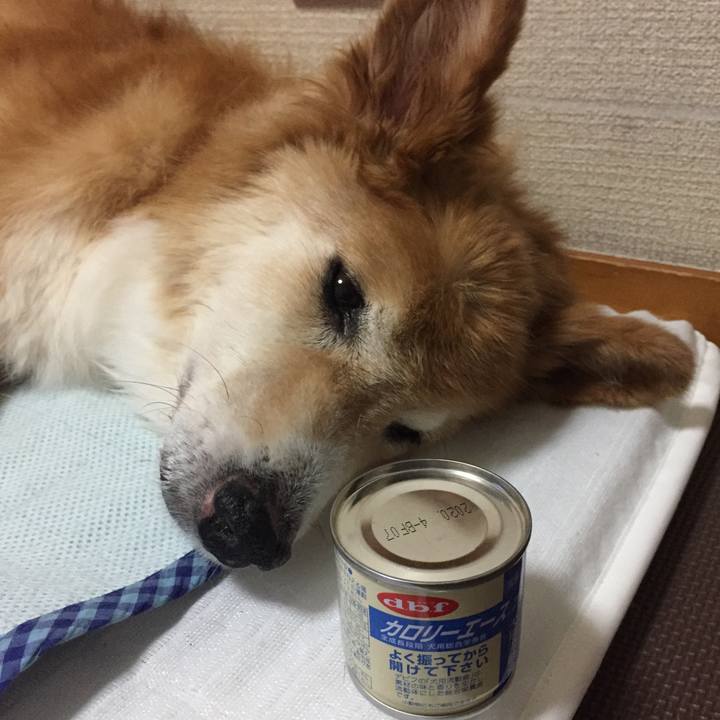 7b32ce35 a4e7 4554 81d3 82ba092243d1