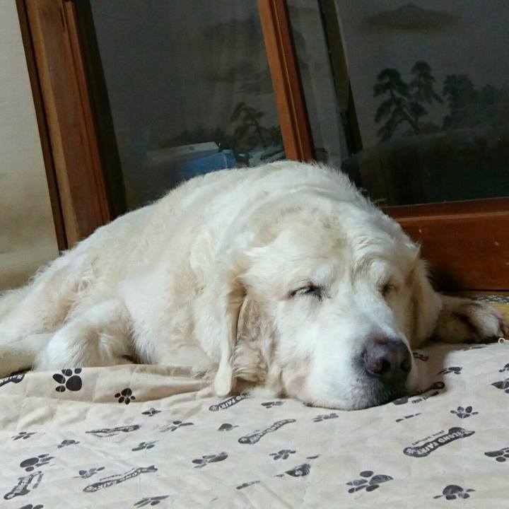 7b32fa28 9e3b 48ba b9c2 736684e837e4