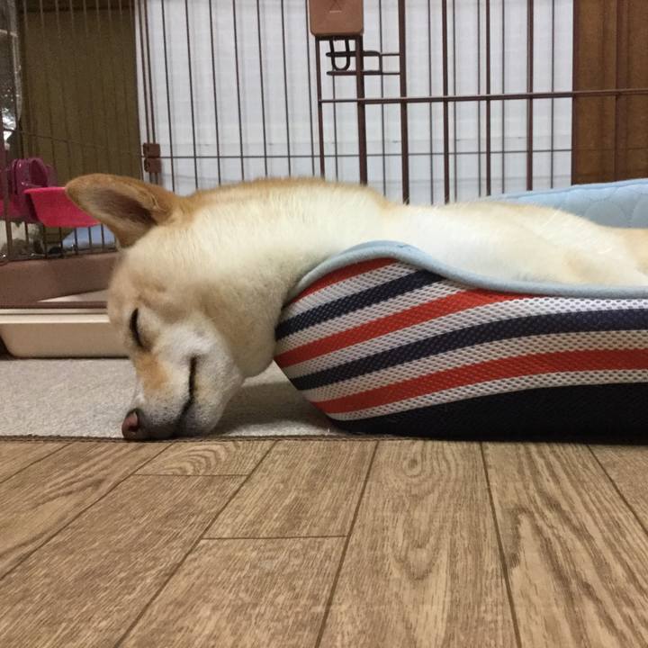 7b340161 eee8 49eb 91eb 60de98c27eb8