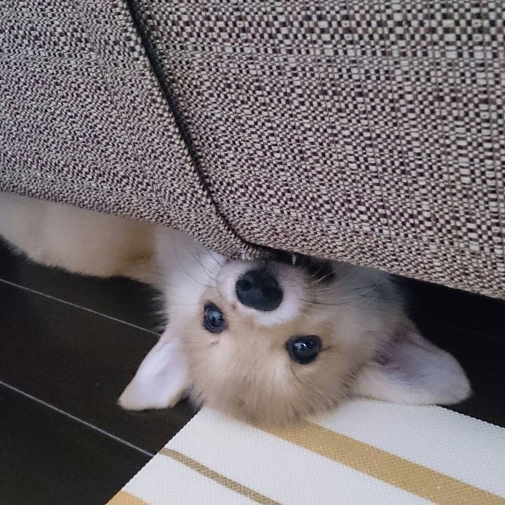 7b34448a 0679 4f7a 9f43 27112c986f36