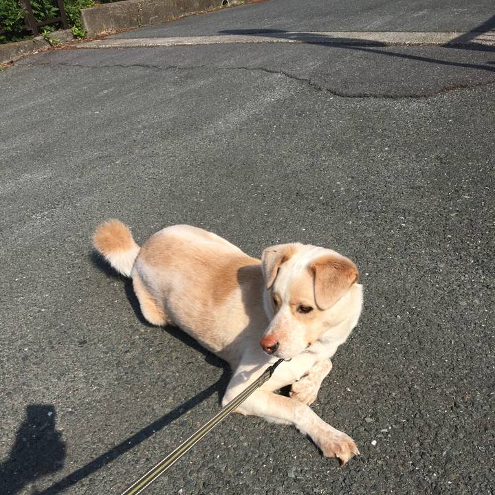 7b351195 692f 4960 a243 714e9fd96b0e