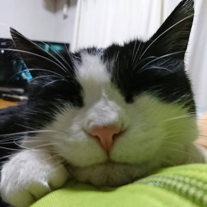 7b355111 9ea6 4008 8144 e2b1d2914ff5