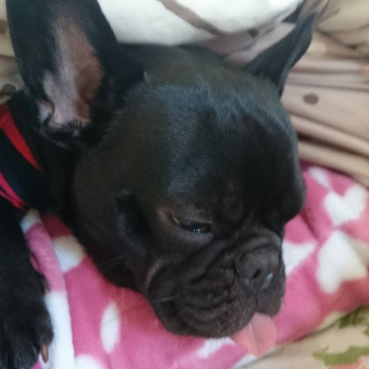 7b356801 9889 4d62 96d0 431a36f17a7d