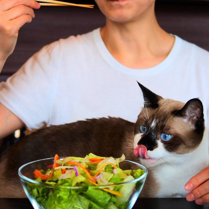 7b37ff5f fbb2 40bf a382 0d489ffc790b