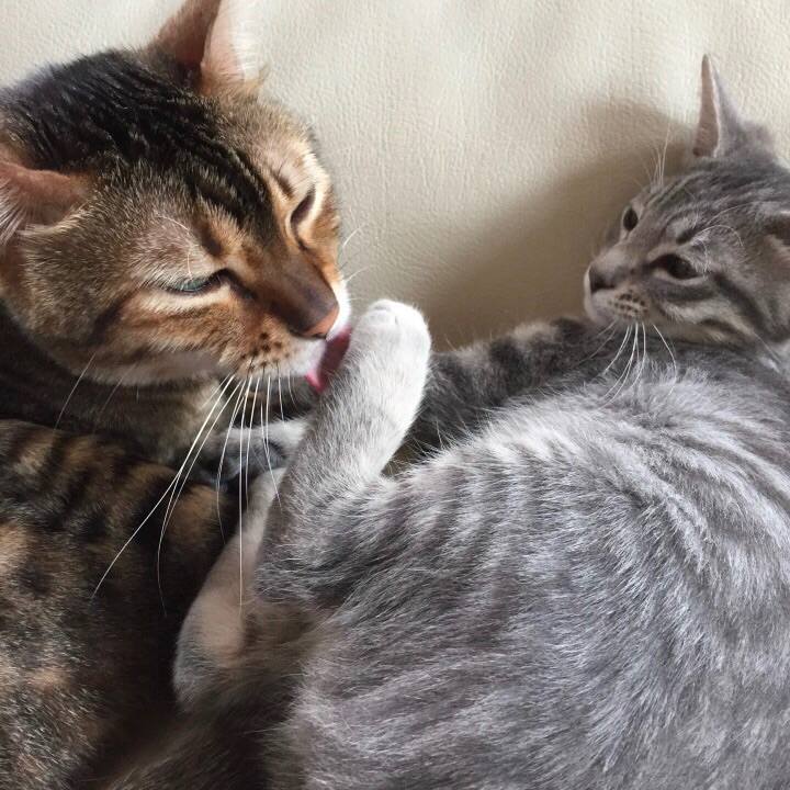 7b3803ab a361 4b63 aa43 708e764403bc