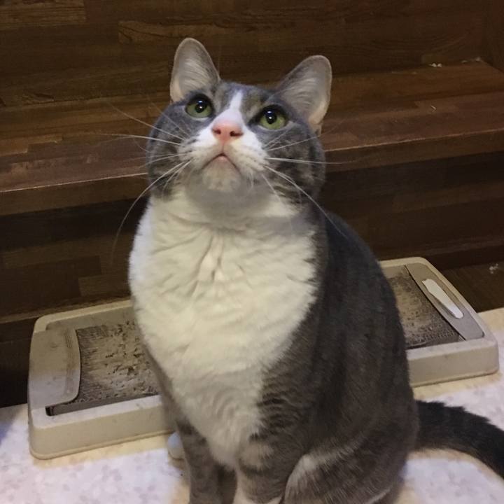 7b384ad3 389c 4548 8943 a9231c69bddd