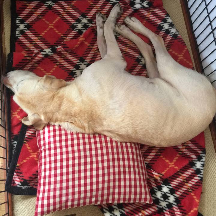 7b38ac0c 91f0 44c9 8d06 5731af27a02b