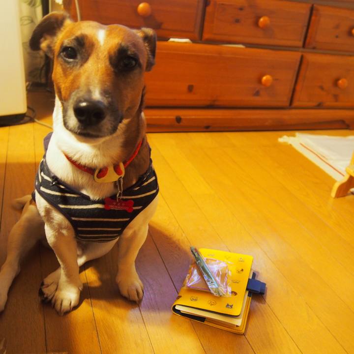 7b38b1dc f0f3 45ab ba8c be2f1844b548