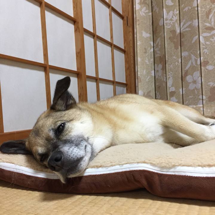 7b38de33 d31b 42dd a7a7 5b7d00f20ca2