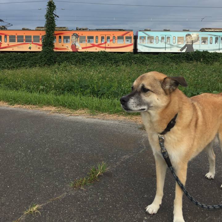 7b399010 8362 40cc 9593 b92101e4225b