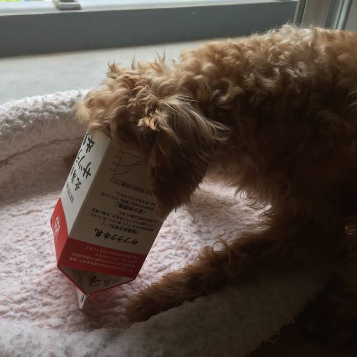 7b3a29da bf84 4120 bad2 b16e2ad5468d